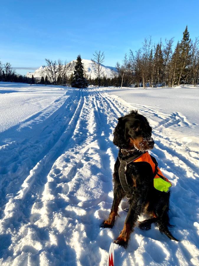 Hyggelig Leilighet I Sentrum Hemsedal Εξωτερικό φωτογραφία