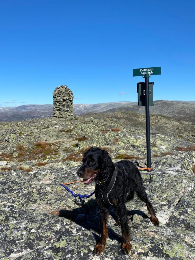 Hyggelig Leilighet I Sentrum Hemsedal Εξωτερικό φωτογραφία
