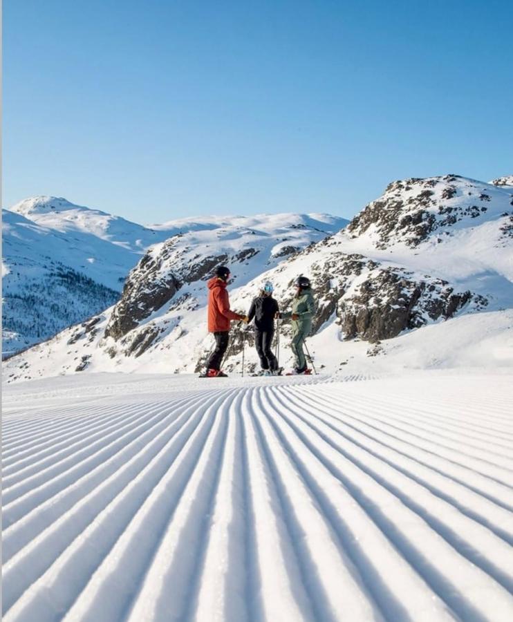 Hyggelig Leilighet I Sentrum Hemsedal Εξωτερικό φωτογραφία