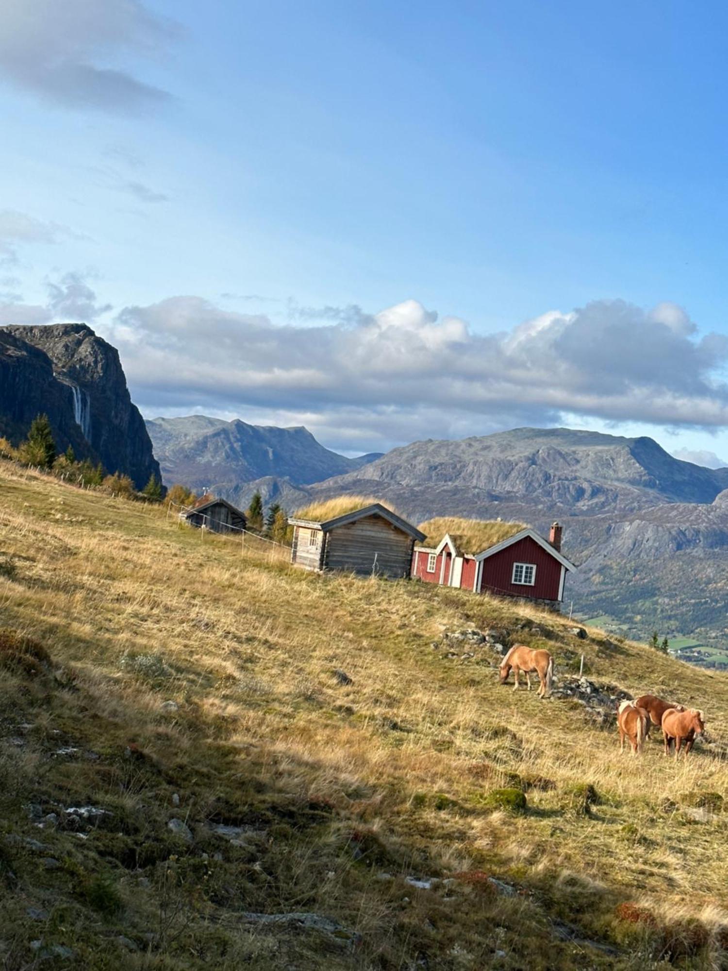 Hyggelig Leilighet I Sentrum Hemsedal Εξωτερικό φωτογραφία