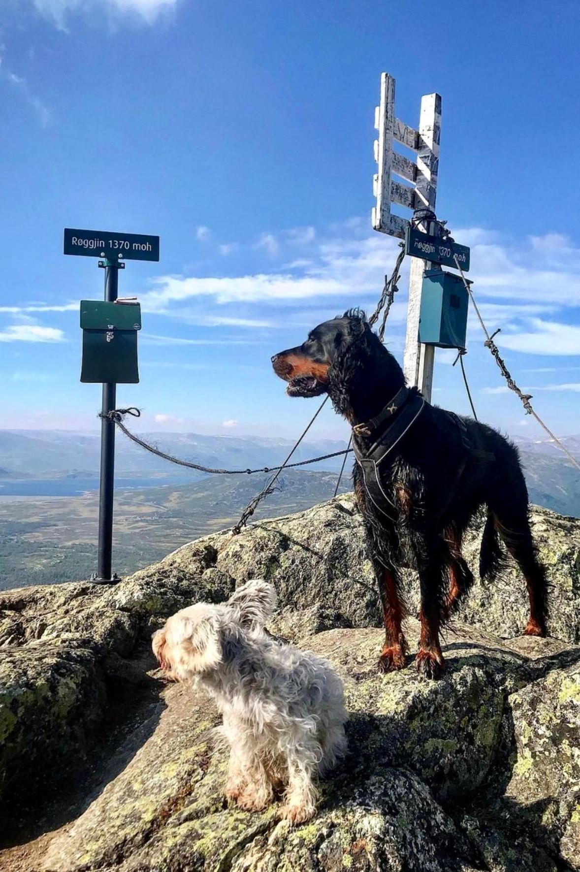 Hyggelig Leilighet I Sentrum Hemsedal Εξωτερικό φωτογραφία